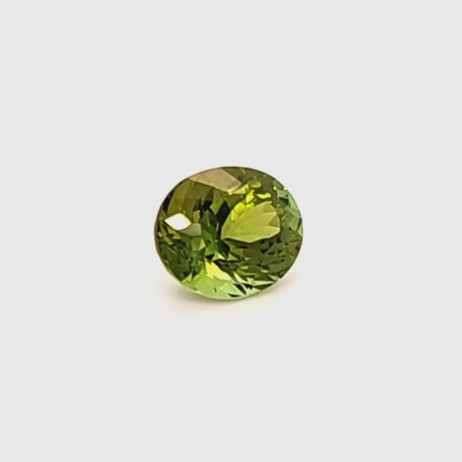 Natural Tourmaline oval cut – 2.41 Ct VVS – 8.95 x 7.54mm